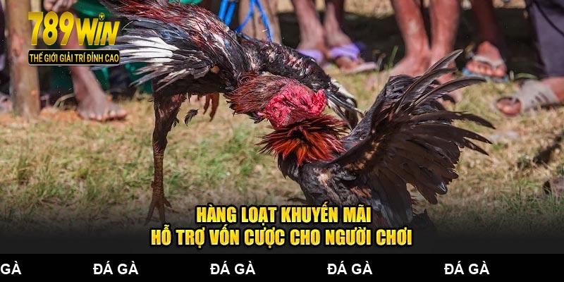 Hàng loạt khuyến mãi hỗ trợ vốn cược cho người chơi
