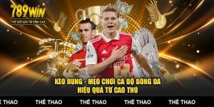 Kèo Rung - Mẹo Chơi Cá Độ Bóng Đá Hiệu Quả Từ Cao Thủ