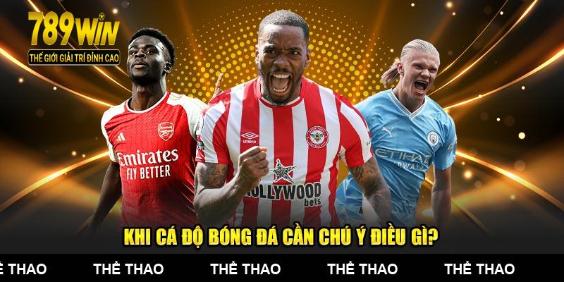 Khi cá độ bóng đá cần chú ý điều gì?