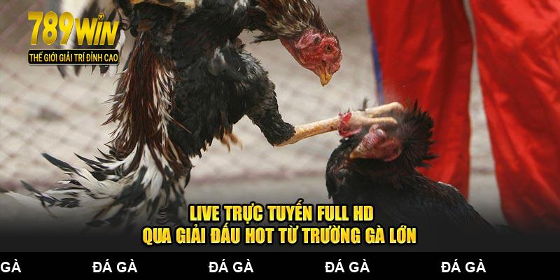 Live trực tuyến full HD qua giải đấu hot từ trường gà lớn