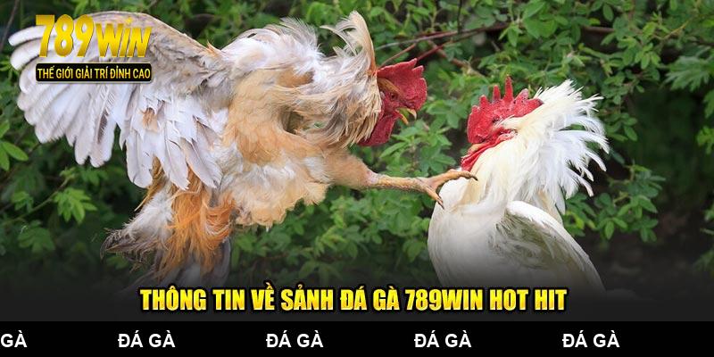 Thông tin về sảnh đá gà 789WIN hot hit